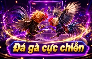 Giao diện sảnh Đá Gà shuaiqila