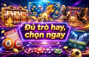 Giao diện mobile của shuaiqila.com với bố cục gọn và dễ thao tác